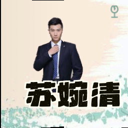 苏婉清